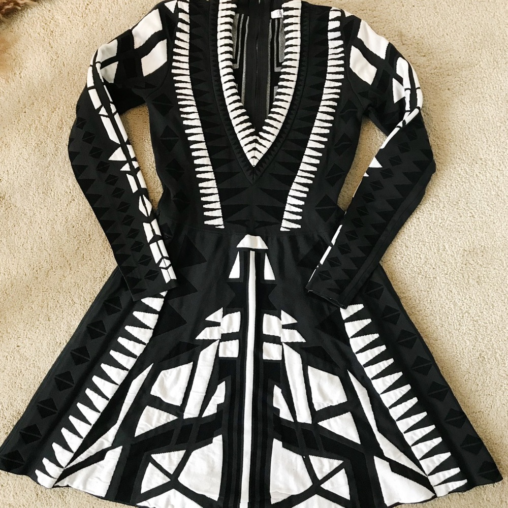 Parker V neck skater dress black and white